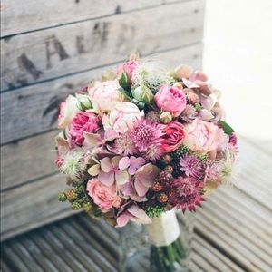 Meet your Posher, Anastasia